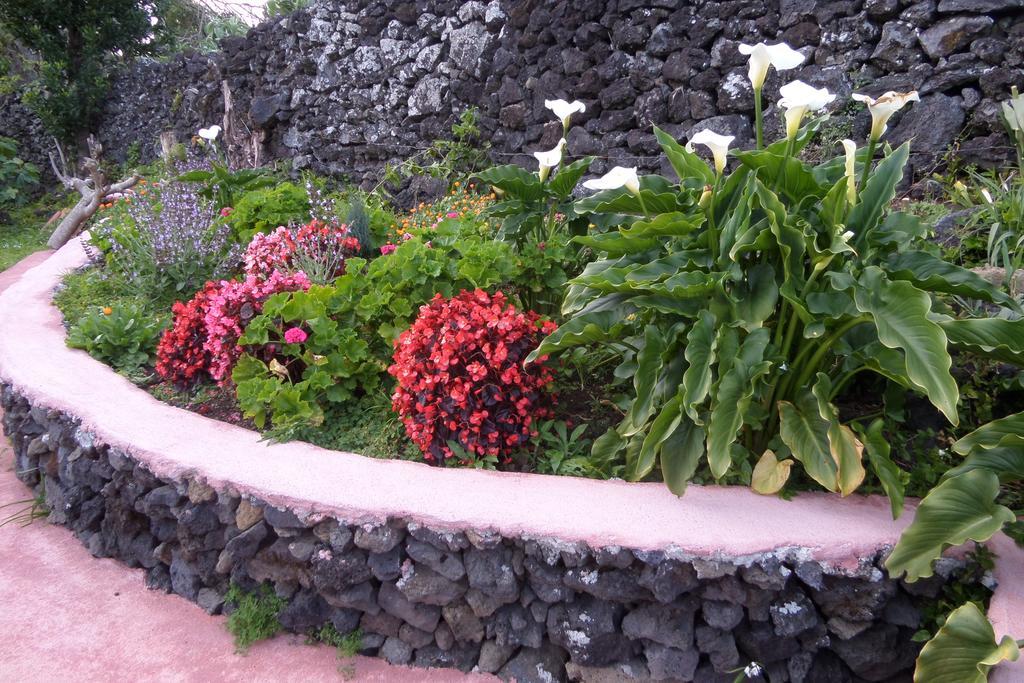 Quinta Dos Sentidos , Rustic Holiday Houses In Sao Vicente Ferreira Exterior photo